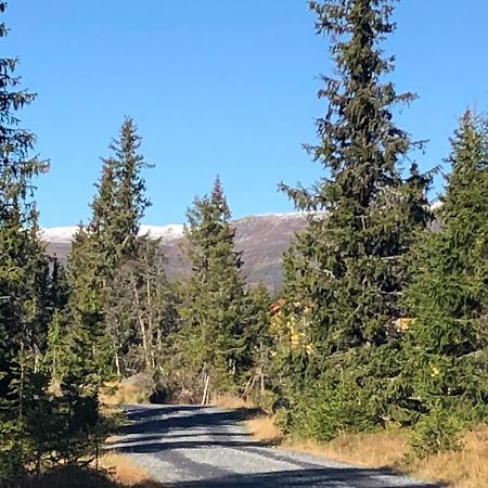 Sykkelhytte Ved Slatten I Synnfjellet Nord Torpa 외부 사진